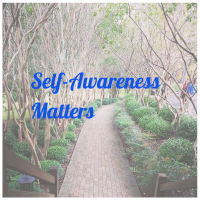 Thoughts on Self-Awareness
